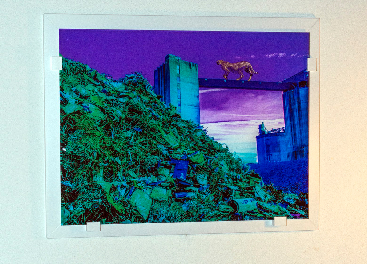 Cheetah på G i glas