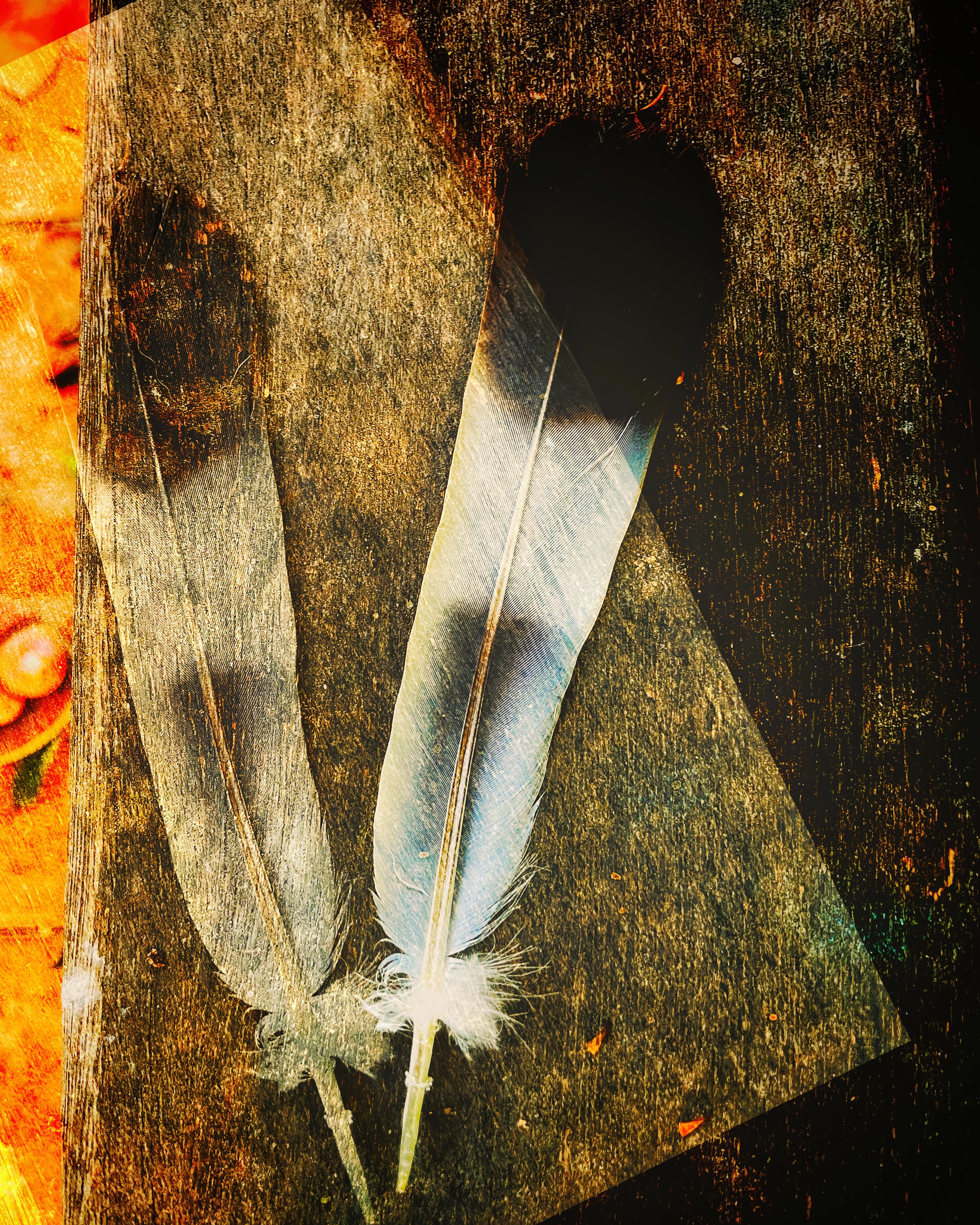 b4513be9-d97f-4a4a-9833-d89ce12d9a9a